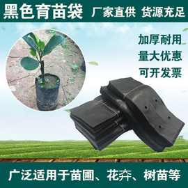 绿色革命的隐形功臣 pe育苗袋的科技力量