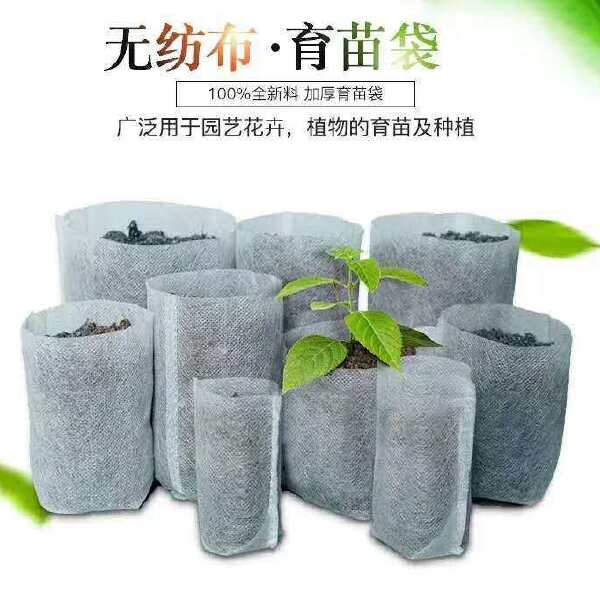 无纺布育苗袋 绿化造林与苗木培育的理想选择