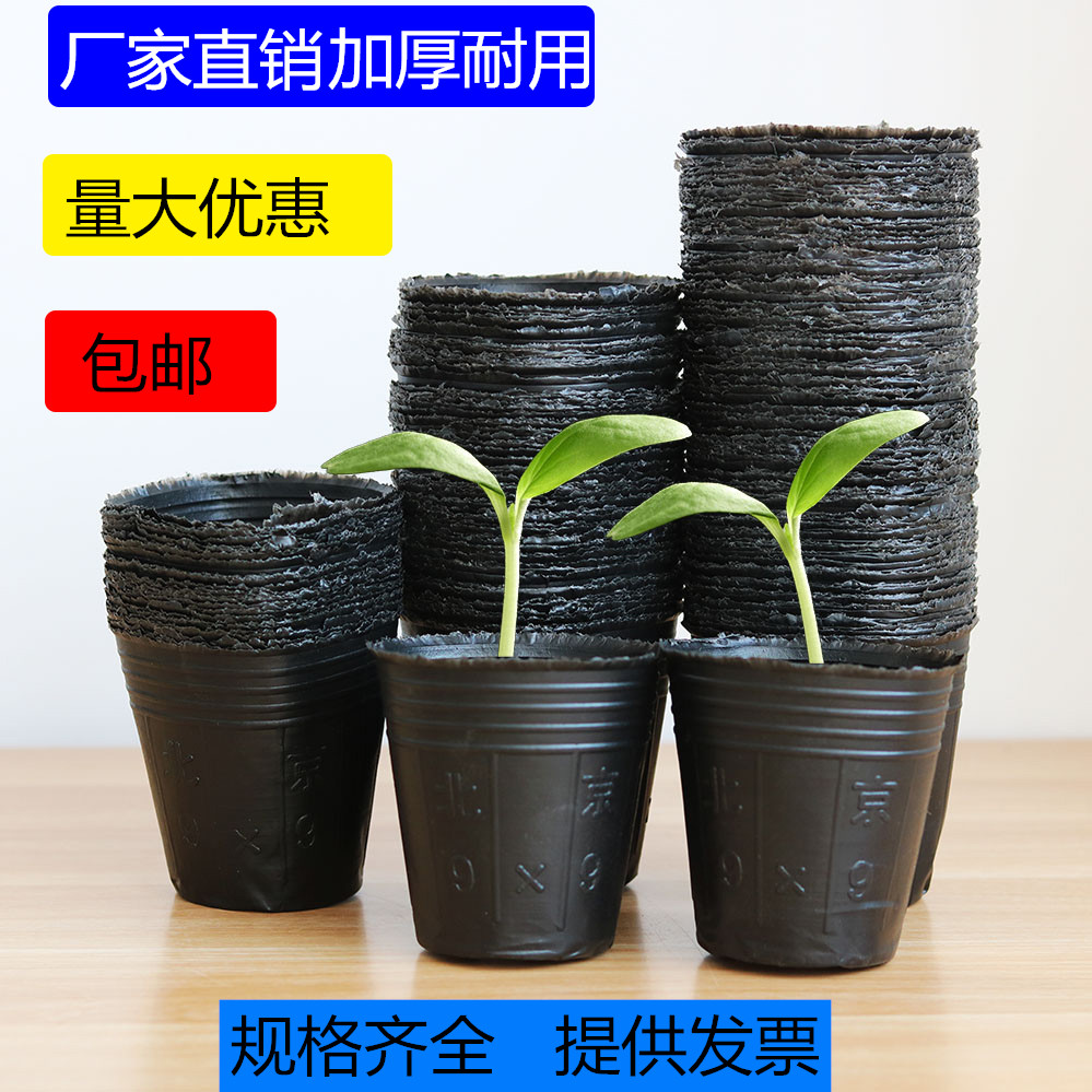 营养杯育苗袋 小成本大效用，现代农业的绿色助手