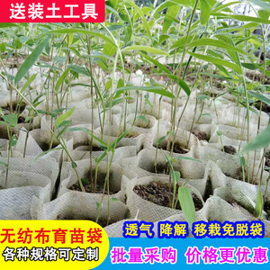 苗树育苗袋 绿化工程的高效之选