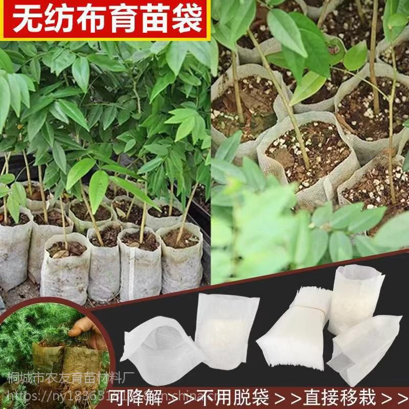 【无纺布育苗袋的分解周期有多久?图片】无纺布育苗袋的分解周期有多久?图片大全 - 桐城市农友育苗材料厂