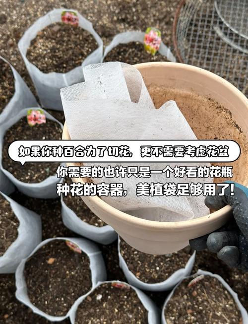 美植袋种植:省钱又实用的种植神器