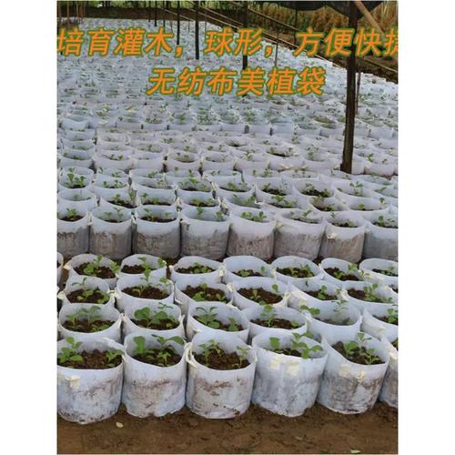 工厂直销美植袋植树袋 控根器无纺布育苗袋营养袋 苗木种植袋加厚