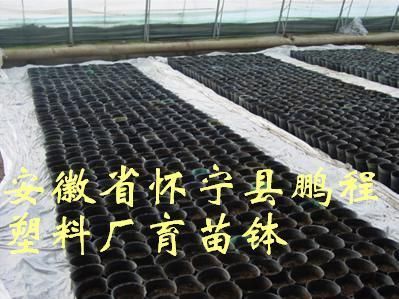 2013款鹏程牌塑料育苗营养袋,育苗袋,育苗容器袋