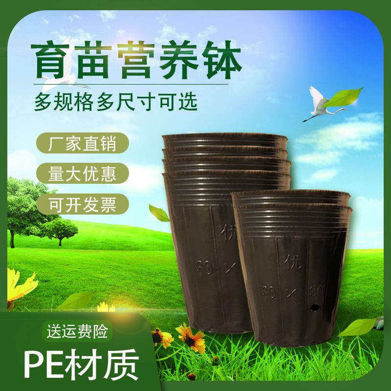 黑色育苗盆 现代农业育苗的理想之选