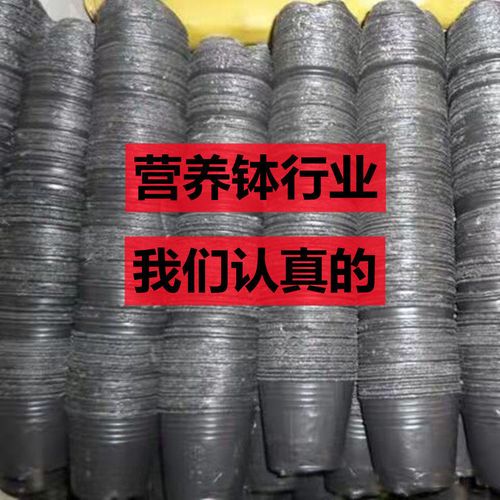 育苗袋营养袋大号塑料育苗盆营养钵加厚育苗碗一次性营养杯育苗杯