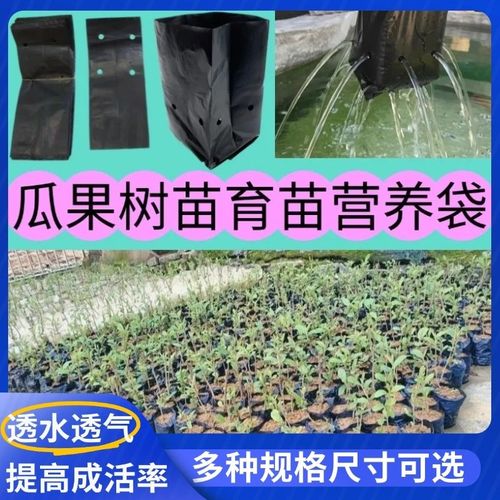 咖啡专用育苗袋槟榔营养袋塑料果苗农用加厚一次性树苗培袋子批发